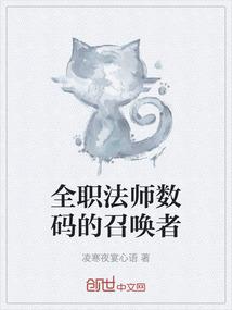 全职法师数码的召唤者