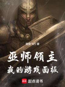 巫师领主：我的游戏面板