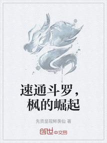 速通斗罗，枫的崛起