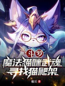 斗罗：魔法猫咪武魂，寻找猫爬架